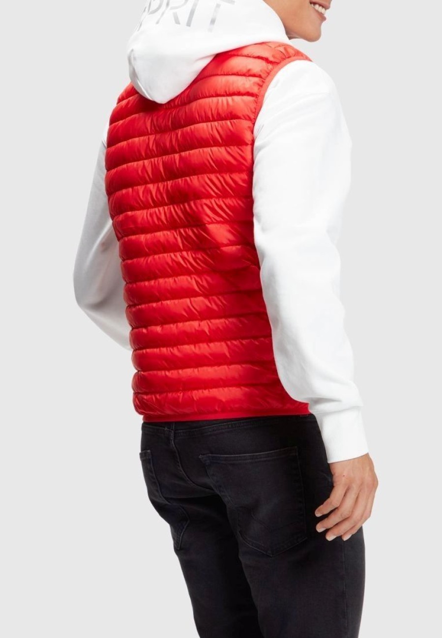 * Clothing | Esprit Quilted Body Warmer With 3M Thinsulate Padding